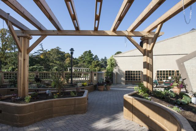 View of the garden under the canopy