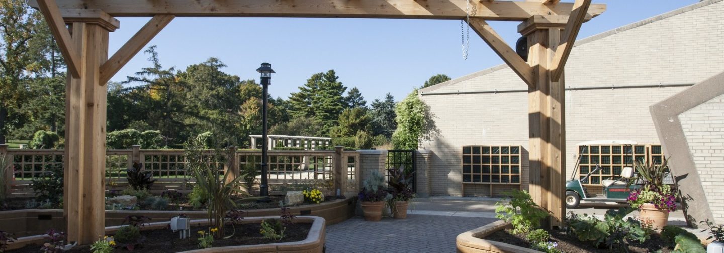 Patio garden from under canopy looking at building