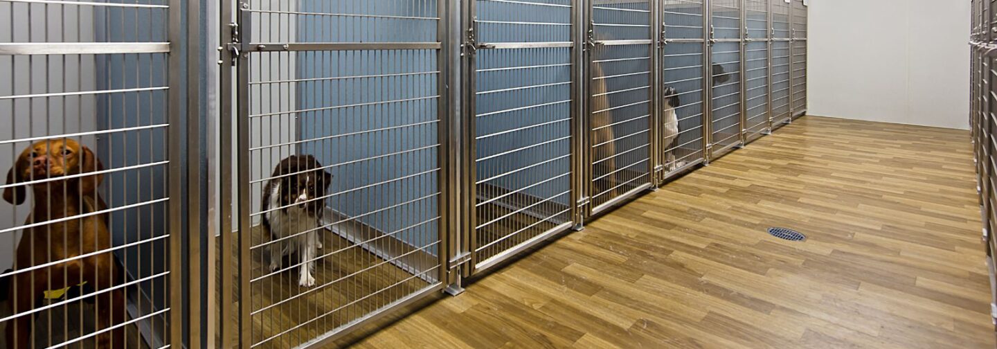 Animal Family Veterinary Care